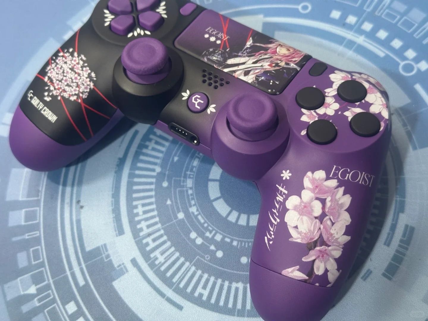 PS5 Controller + Theme Customization Sprayer Studio